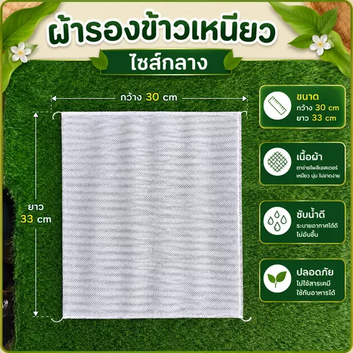 65826962