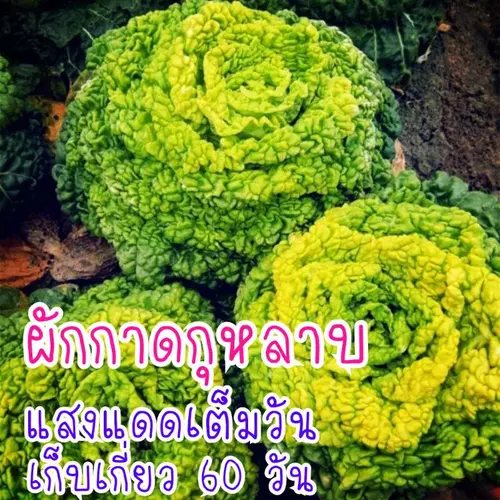 357917300