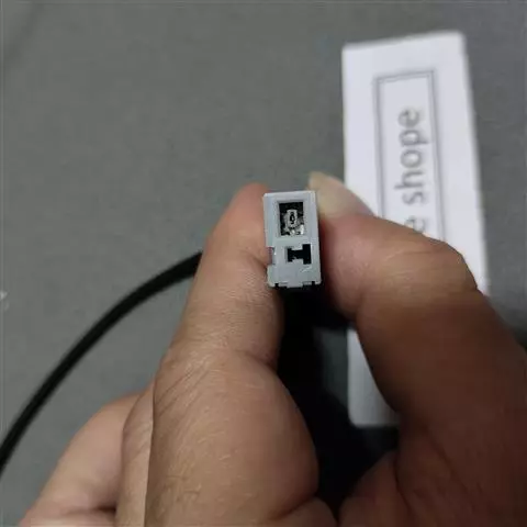 54535578